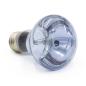 Preview: Terra ExoticaNeo Spot - 60 Watt Terrarien-Reflektorstrahler